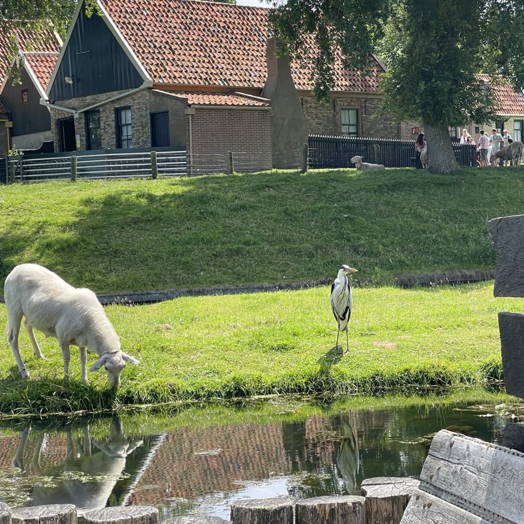 Zwischen Kultur, Shopping, Aua und Verbundenheit