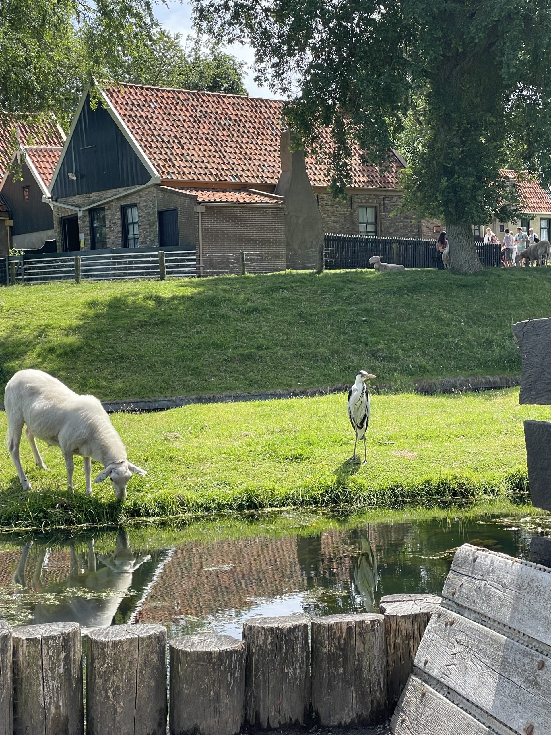 Du betrachtest gerade Zwischen Kultur, Shopping, Aua und Verbundenheit