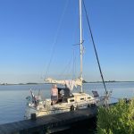 Käpt’ns Dinner und alle Ampeln stehen auf „Grün“