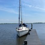 Revival für einen Tag und Abschied von der Heron